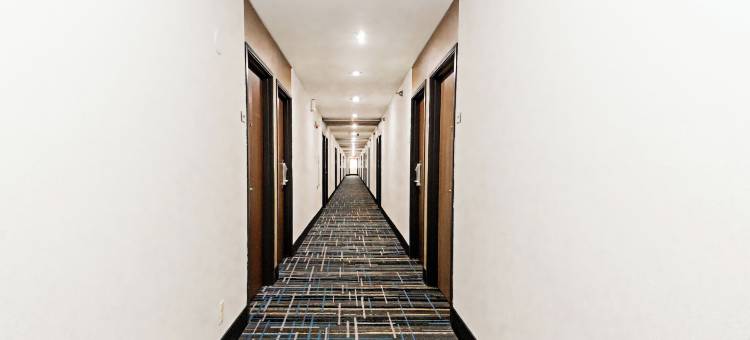 马里内特品质套房酒店(Quality Inn & Suites Marinette)图片