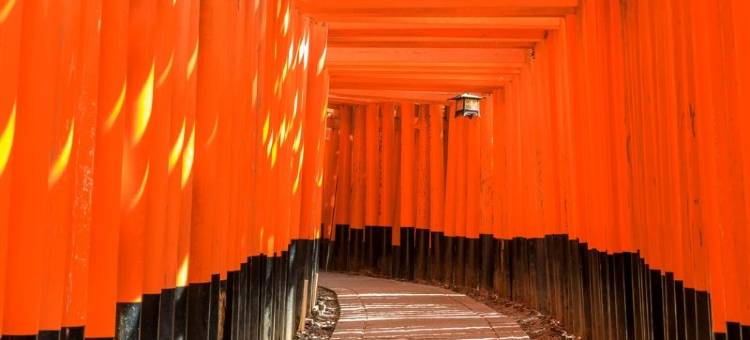 京都九条岐山高级酒店(Chisun Premium Kyoto Kujo)图片