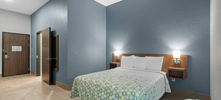 布雷登顿霍姆汤酒店(HomeTowne Studios Bradenton)图片