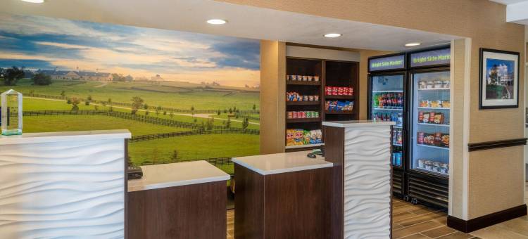 莱辛顿南 - 汉堡拉昆塔温德姆套房酒店(La Quinta Inn & Suites by Wyndham Lexington South / Hamburg)图片