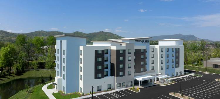 鸽子谷TownePlace Suites酒店(TownePlace Suites Pigeon Forge)图片