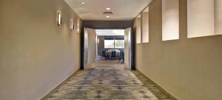 波士顿纽顿福朋喜来登酒店(Four Points by Sheraton Boston Newton)图片