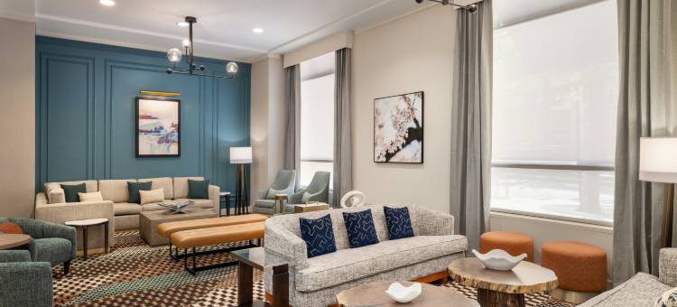 舍尔灵顿希尔顿花园旅馆(Hilton Garden Inn  Arlington Shirlington)图片