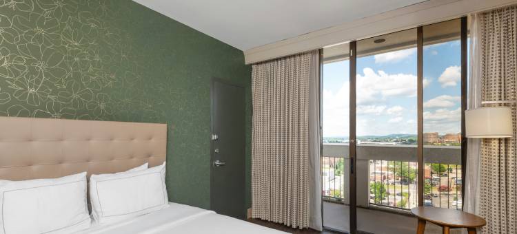 UAB 伯明翰市中心希尔顿酒店(Hilton Birmingham Downtown at UAB)图片