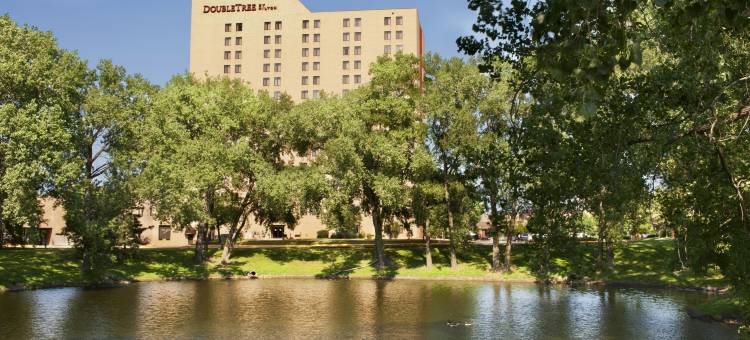 明尼阿波利斯公园广场希尔顿逸林酒店(DoubleTree by Hilton Minneapolis-Park Place)图片