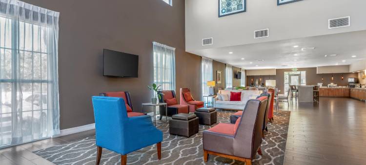 伍德兰德舒适套房酒店- 萨克拉门托机场(Comfort Suites Woodland - Sacramento Airport)图片