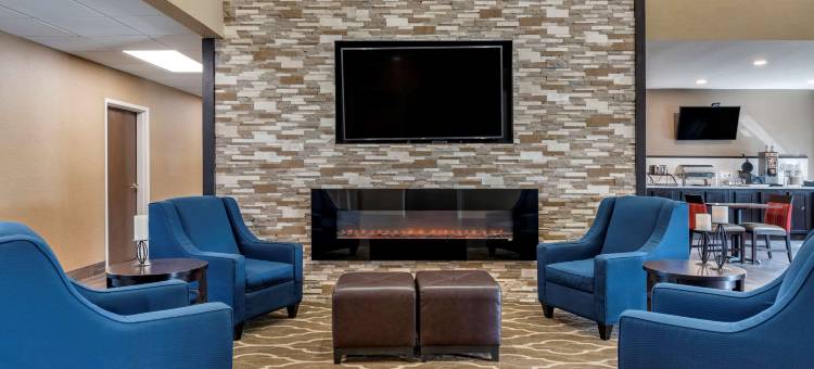 舒适酒店(Comfort Inn)图片