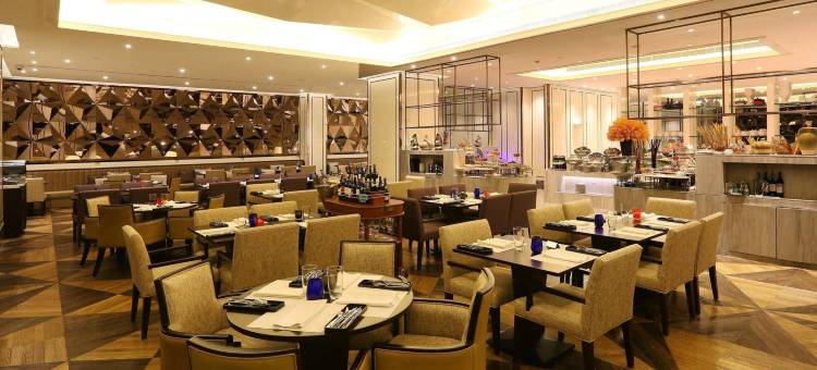 卡拉维拉西贡酒店(Caravelle Saigon)图片