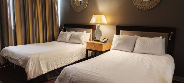 斯坦福德套房酒店(Stamford Suites)图片