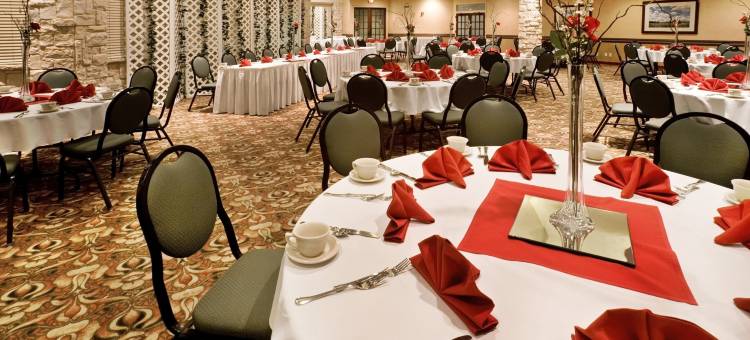 Holiday Inn 达拉斯理查森(Holiday Inn Dallas-Richardson)图片