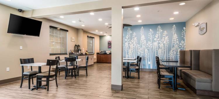 舒眠套房酒店-肯纳瑟州立大学(Sleep Inn & Suites at Kennesaw State University)图片