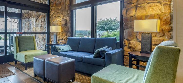 舒适套房酒店-近丹维尔购物中心(Comfort Inn & Suites Near Danville Mall)图片