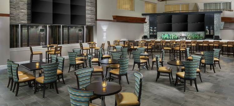 奥兰多机场希尔顿逸林酒店(DoubleTree by Hilton Orlando Airport Hotel)图片