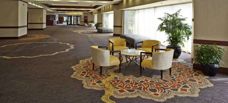 罗利北山希尔顿酒店(Hilton Raleigh North Hills)图片