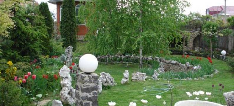 诺德士酒店(Nautilus)图片