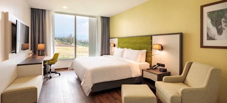 基多机场假日酒店(Holiday Inn Quito Airport)图片