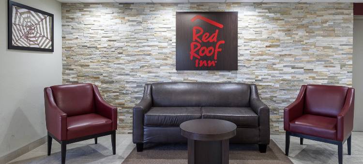 圣彼得堡坦帕湾红顶酒店(Red Roof Inn Tampa Bay - St. Petersburg)图片