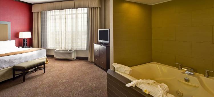 Holiday Inn & Suites 芝加哥西北 - 埃尔金(Holiday Inn & Suites Chicago Northwest - Elgin)图片