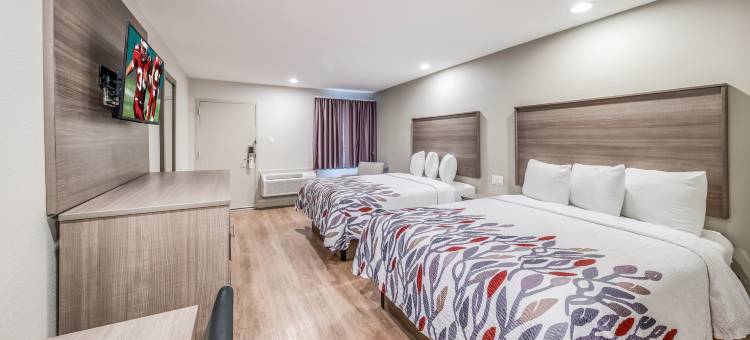 刘易斯维尔红屋顶酒店(Red Roof Inn Lewisville)图片