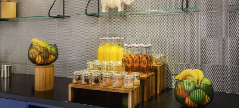 凯悦嘉寓酒店巴黎戴高乐机场(Hyatt House Paris Charles de Gaulle Airport)图片