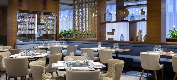 莫斯科伏努科沃希尔顿逸林酒店(DoubleTree by Hilton Moscow — Vnukovo Airport)图片