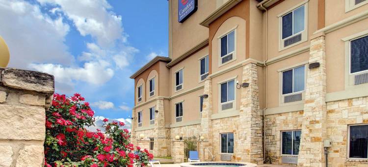 舒适套房酒店(Comfort Inn & Suites)图片