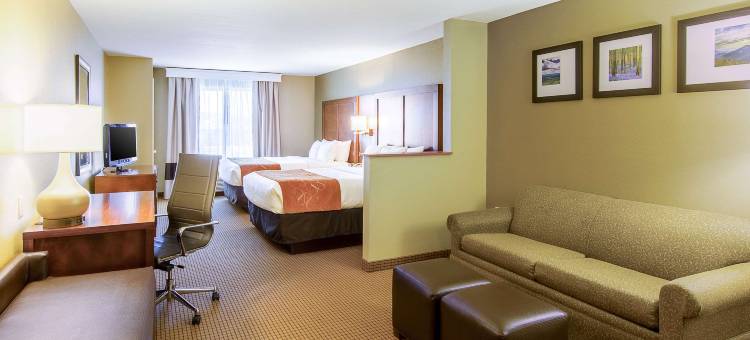 舒适套房酒店(Comfort Suites)图片
