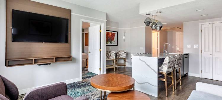 拉斯维加斯弗拉明戈希尔顿分时度假俱乐部(Hilton Grand Vacations Club Flamingo Las Vegas)图片