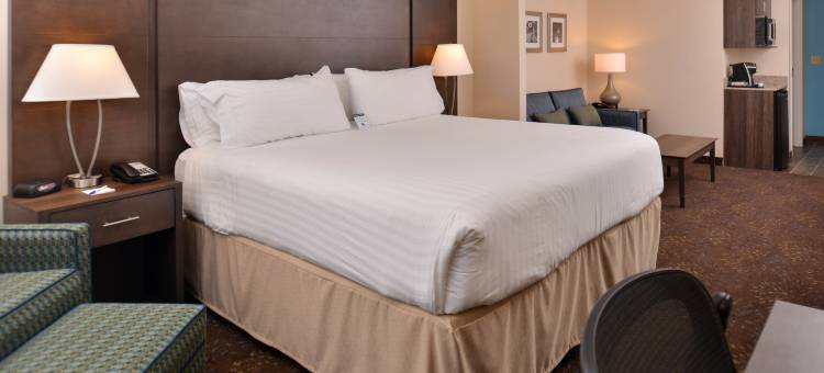 智选假日套房酒店-迪尔伯恩西南/底特律地区(Holiday Inn Express & Suites Dearborn SW - Detroit Area)图片