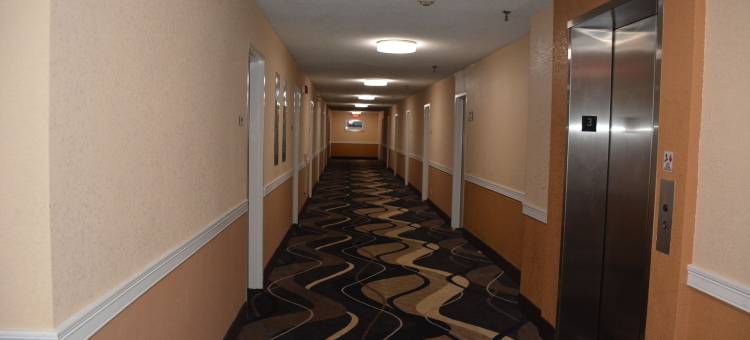 Cape Cod Hotel图片