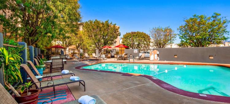 格里奥格兰德贝斯特韦斯特优质酒店(Best Western Plus Rio Grande Inn)图片