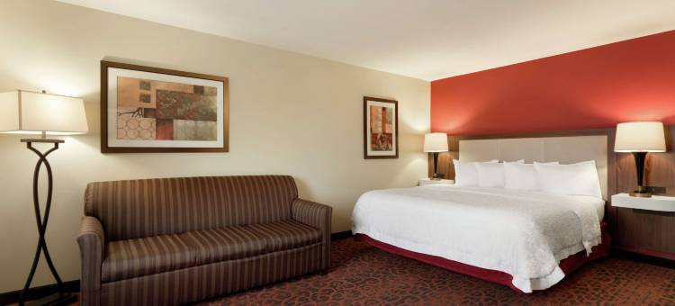 赛克斯森特商城威奇托福尔斯欢朋酒店(Hampton Inn Wichita Falls-Sikes Senter Mall)图片