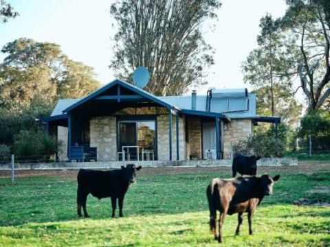 Burnside Organic Farm Hotel Overview