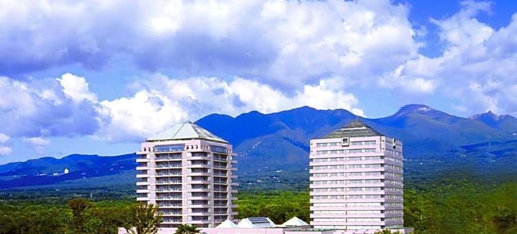 Epinard那须温泉酒店(Hotel Epinard Nasu)图片