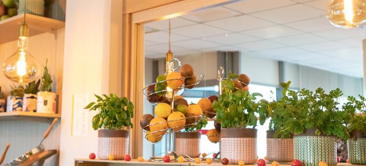 雷斯迪家图卢兹奥西塔尼亚(Residhome Toulouse Occitania)图片