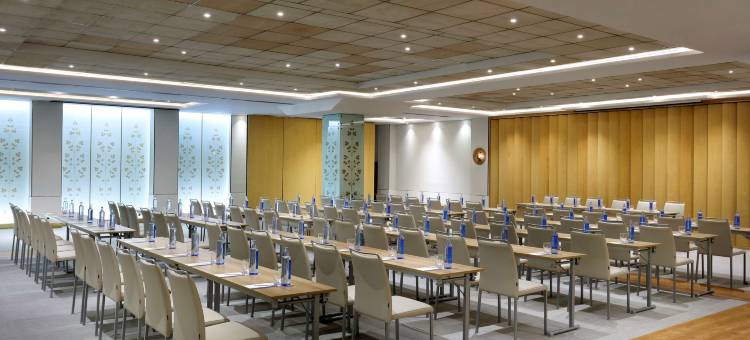 赫斯珀里亚马德里凯悦酒店(Hyatt Regency Hesperia Madrid)图片