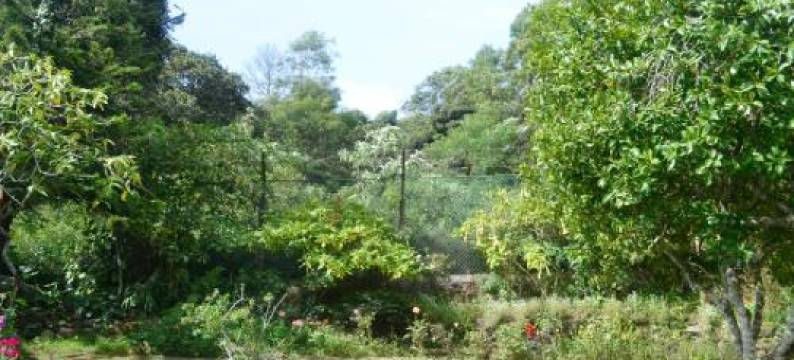 塞姆里假日简易别墅住宿加早餐旅馆(Samri Holiday Bunglow)图片