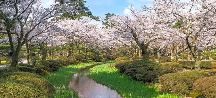 WING国际酒店-⾦泽站前(Hotel Wing International Premium Kanazawa Ekimae)图片