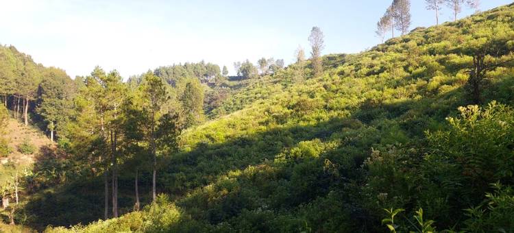 帕拉扬安阿斯里河畔(Palayangan Asri Riverside)图片