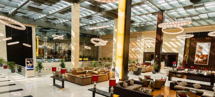 利雅得市中心皇冠假日酒店及会议中心(Crowne Plaza Riyadh Rdc Hotel & Convention)图片