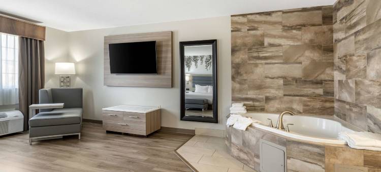 葡萄园贝斯特韦斯特优质酒店(Best Western Plus Vineyard Inn)图片