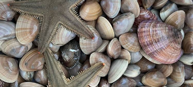 盛景清源客栈小房东一枚(龙山路分店)图片