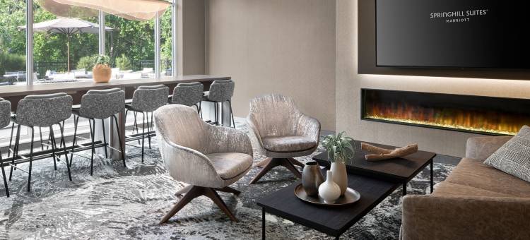 拉马祖港口春希尔套房酒店(SpringHill Suites Kalamazoo Portage)图片