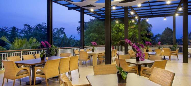 帕达达兰会议套房度假村(Padjadjaran Suites Resort and Convention Hotel)图片