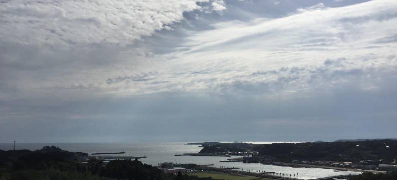 芥末旅馆(Guesthouse Wasabi)图片