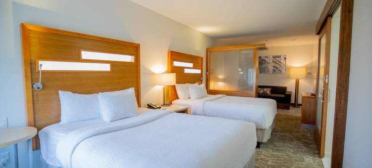 巴吞鲁日冈萨雷斯SpringHill Suites酒店(SpringHill Suites Baton Rouge Gonzales)图片