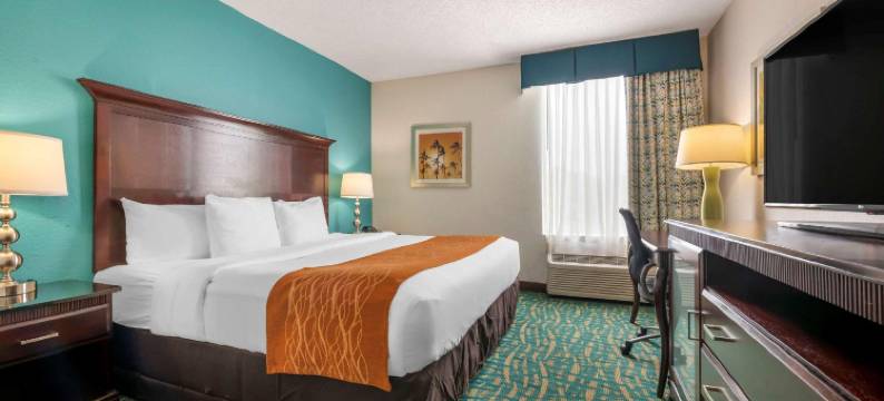 劳德代尔堡西收费高速公路舒适套房酒店(Comfort Inn & Suites Fort Lauderdale West Turnpike)图片