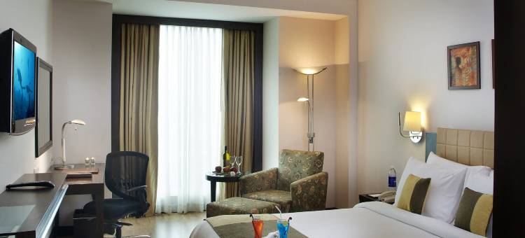 德里NCR金翅雀酒店(Goldfinch Hotel Delhi NCR)图片