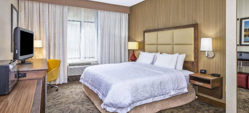 底特律-贝尔维尔机场区域欢朋旅馆(Hampton Inn Detroit/Belleville-Airport Area)图片