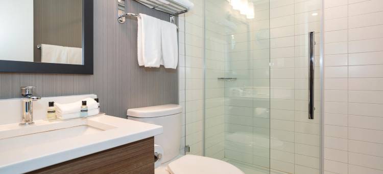 沙曼标志卡尔加里市中心酒店(Sandman Signature Calgary Downtown Hotel)图片